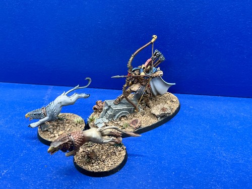 Cavaliere giudicatore degli - giudicatore,