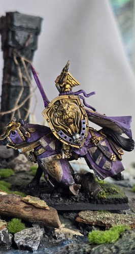 Pro dipinto bretonnia - dipinto, lord