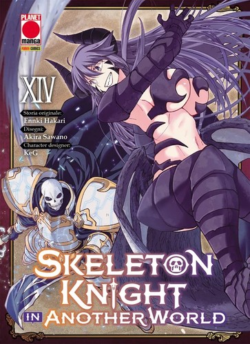 Skeleton knight another - in,