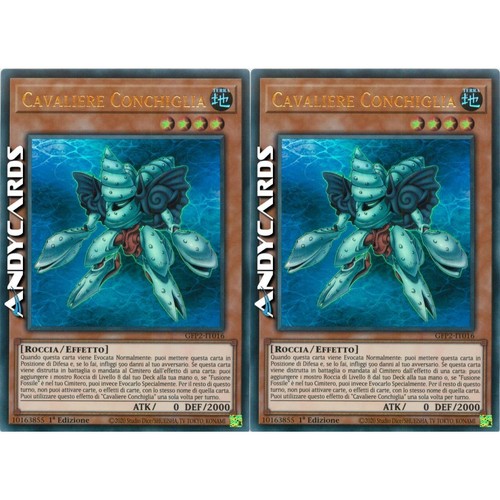 Cavaliere conchiglia - 2x, •